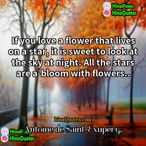 Antoine de Saint-Exupéry Quotes | If you love a flower that lives